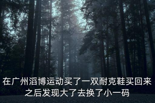 在廣州滔博運動買了一雙耐克鞋買回來之后發現大了去換了小一碼