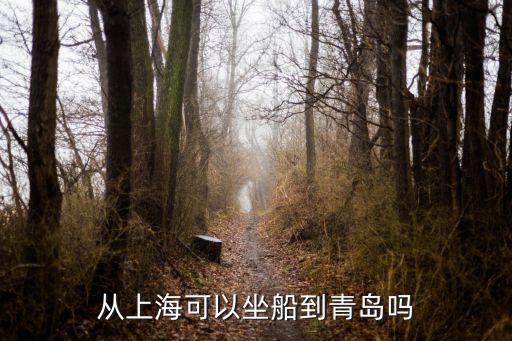 從上海可以坐船到青島嗎