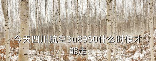 3u8950，3u8587是哪個航空公司客機