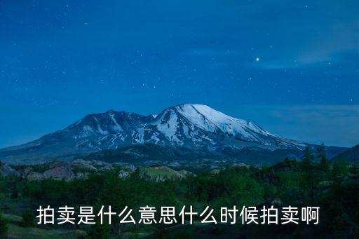 拍賣是什么意思什么時候拍賣啊