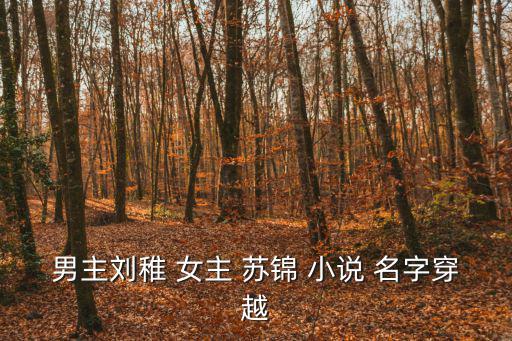 男主劉稚 女主 蘇錦 小說 名字穿越