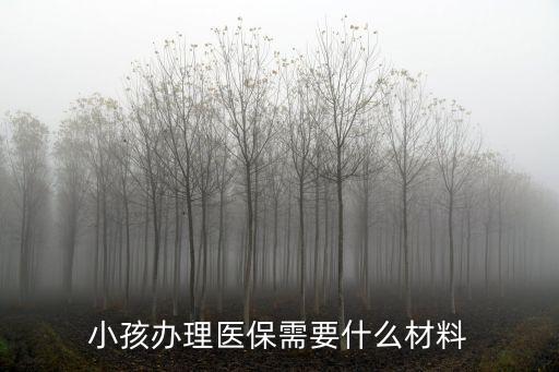 小孩辦理醫保需要什么材料