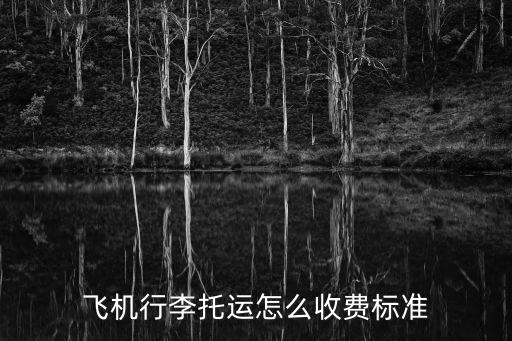 飛機行李托運怎么收費標準