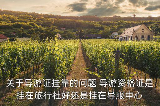 導(dǎo)游證掛靠，關(guān)于導(dǎo)游證掛靠的問題 導(dǎo)游資格證是掛在旅行社好還是掛在導(dǎo)服中心
