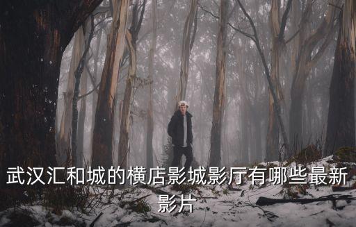 武漢匯和城的橫店影城影廳有哪些最新影片