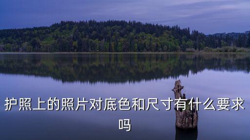 護照上的照片對底色和尺寸有什么要求嗎