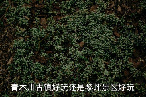 黎坪，青木川古鎮好玩還是黎坪景區好玩