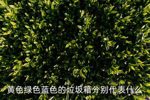 黃色綠色藍(lán)色的垃圾箱分別代表什么