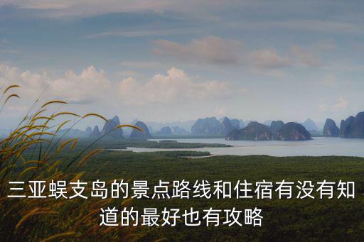 蜈支洲島旅游攻略，海南蜈支洲島旅游選擇什么路線便宜告知下