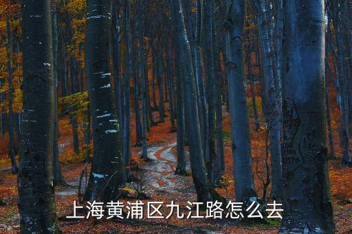 上海黃浦區九江路怎么去