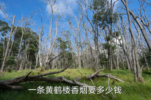 一條黃鶴樓香煙要多少錢