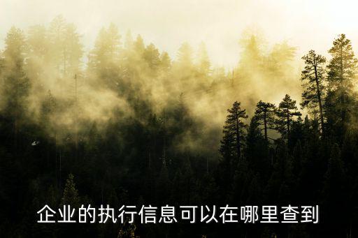 執(zhí)行信息查詢，在全國(guó)法院被執(zhí)行人信息查詢 能查到的被執(zhí)行人 說(shuō)明有案子沒結(jié) 還