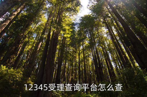 12345受理查詢平臺怎么查