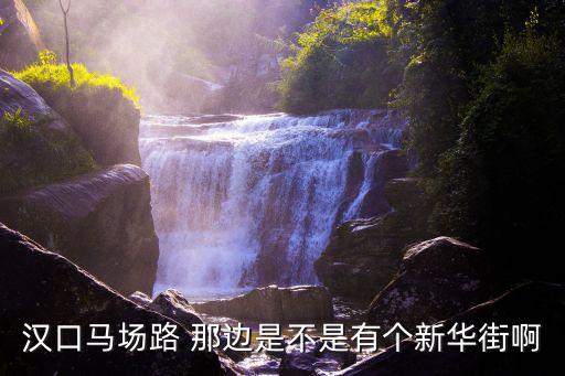 漢口馬場路 那邊是不是有個新華街啊