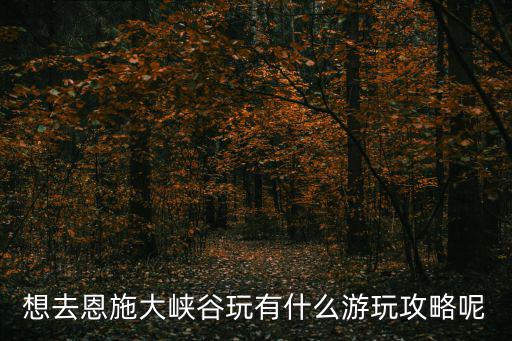 想去恩施大峽谷玩有什么游玩攻略呢