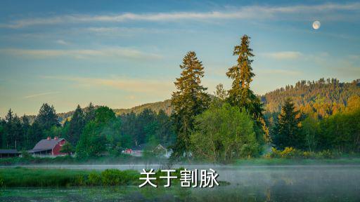 關于割脈