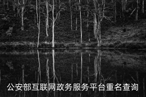 公安部互聯(lián)網(wǎng)政務(wù)服務(wù)平臺(tái)重名查詢