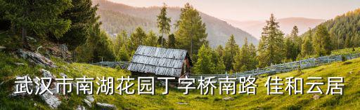 武漢市南湖花園丁字橋南路 佳和云居