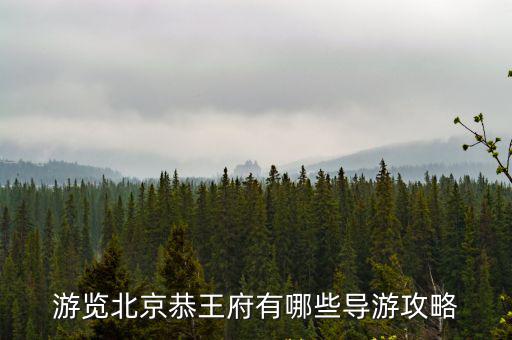 游覽北京恭王府有哪些導(dǎo)游攻略