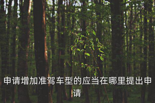申請增加準駕車型的應當在哪里提出申請