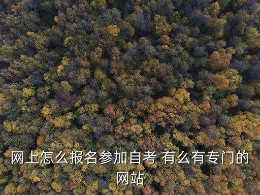 網(wǎng)上怎么報(bào)名參加自考 有么有專門的網(wǎng)站