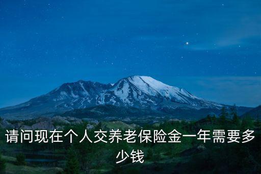 請問現(xiàn)在個人交養(yǎng)老保險金一年需要多少錢
