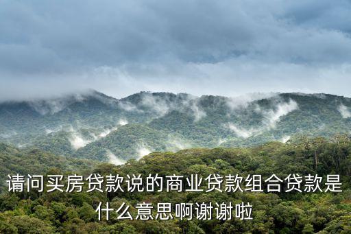 組合貸是什么意思，請問買房貸款說的商業貸款組合貸款是什么意思啊謝謝啦