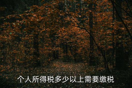 個(gè)人所得稅多少以上需要繳稅