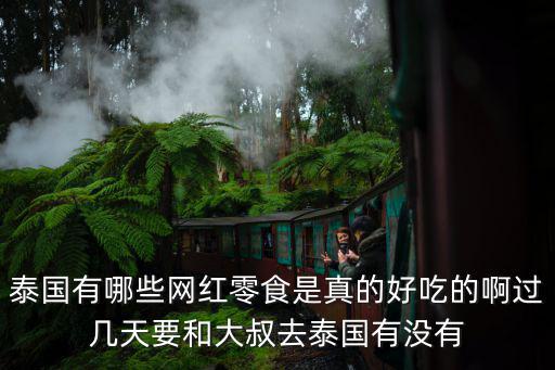 泰國零食，泰國有哪些網(wǎng)紅零食是真的好吃的啊過幾天要和大叔去泰國有沒有