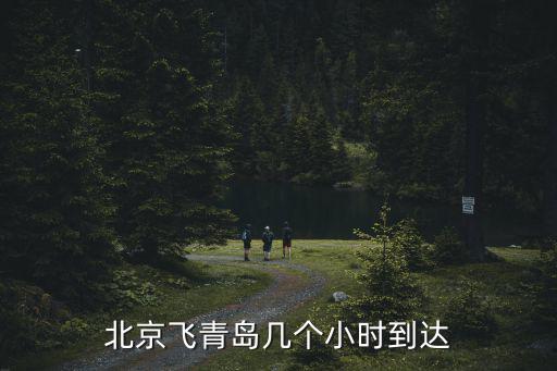 北京到青島飛機(jī)，北京飛青島幾個(gè)小時(shí)到達(dá)