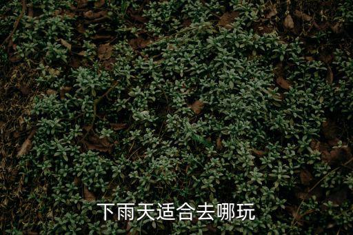 下雨天適合去哪玩，下雨天適合去哪玩
