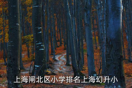 天府新區小學排名，天府新區麓湖南片區在哪里