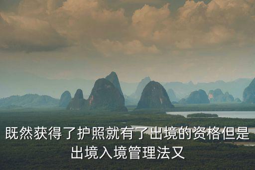 出境入境管理法，出入境管理法中的有下列情形之一的不允許出入境刑事案件被告人和