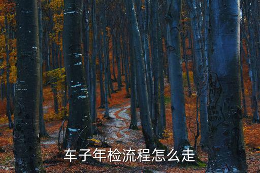 車子年檢流程怎么走