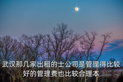 武漢出租車公司，武漢那幾家出租的士公司是管理得比較好的管理費也比較合理本