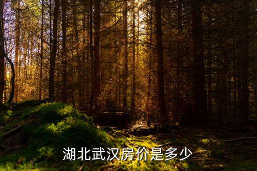 湖北武漢房價是多少