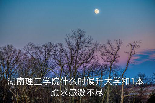 湖南理工學院什么時候升大學和1本 跪求感激不盡