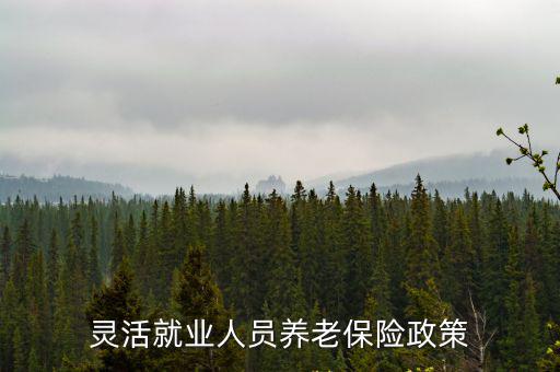 靈活就業人員養老保險政策