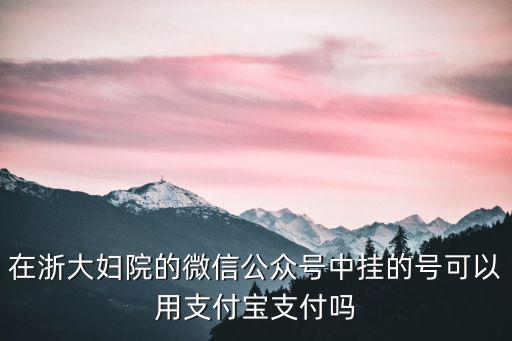 在浙大婦院的微信公眾號(hào)中掛的號(hào)可以用支付寶支付嗎