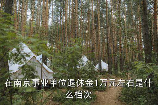 在南京事業單位退休金1萬元左右是什么檔次