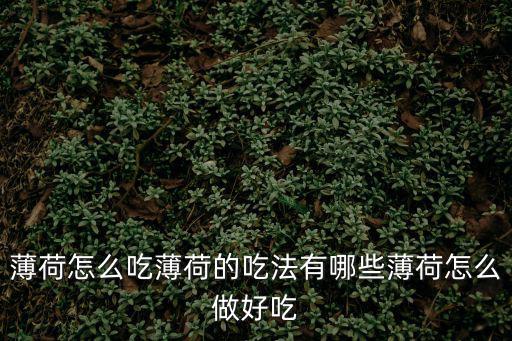 薄荷糕，創(chuàng)造與魔法薄荷糕配方