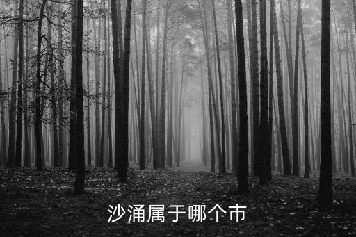 沙涌屬于哪個(gè)市