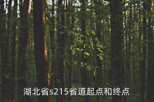 湖北省s215省道起點和終點