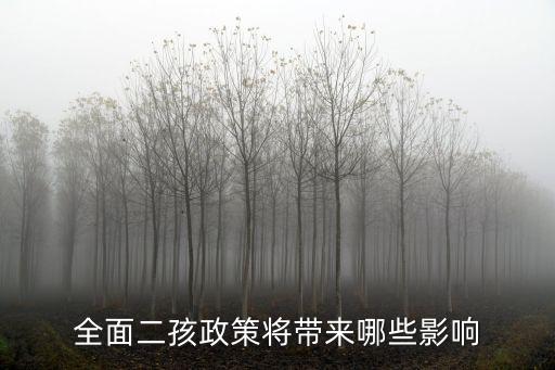 全面二孩政策將帶來哪些影響