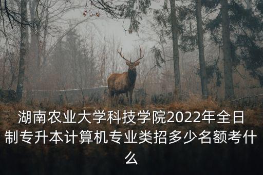 湖南農業大學科技學院2022年全日制專升本計算機專業類招多少名額考什么