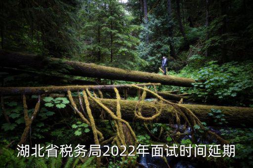 湖北省稅務局2022年面試時間延期