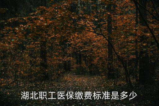 湖北職工醫保繳費標準是多少