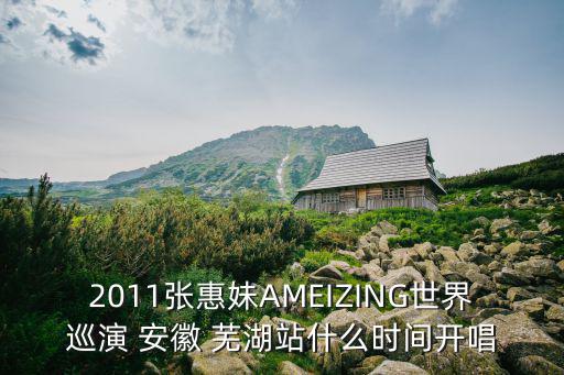ameizing，張惠妹15周年 AmeiZing世界巡回演唱會成都站演唱會中作為阿密