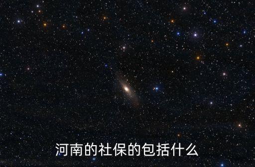 河南的社保的包括什么