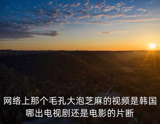 網絡上那個毛孔大泡芝麻的視頻是韓國哪出電視劇還是電影的片斷